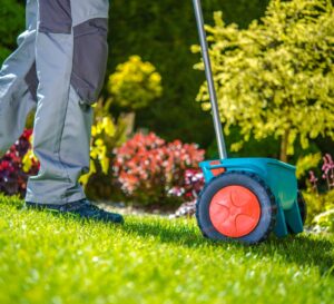 Rasenpflege – die besten Tipps für einen schönen Rasen