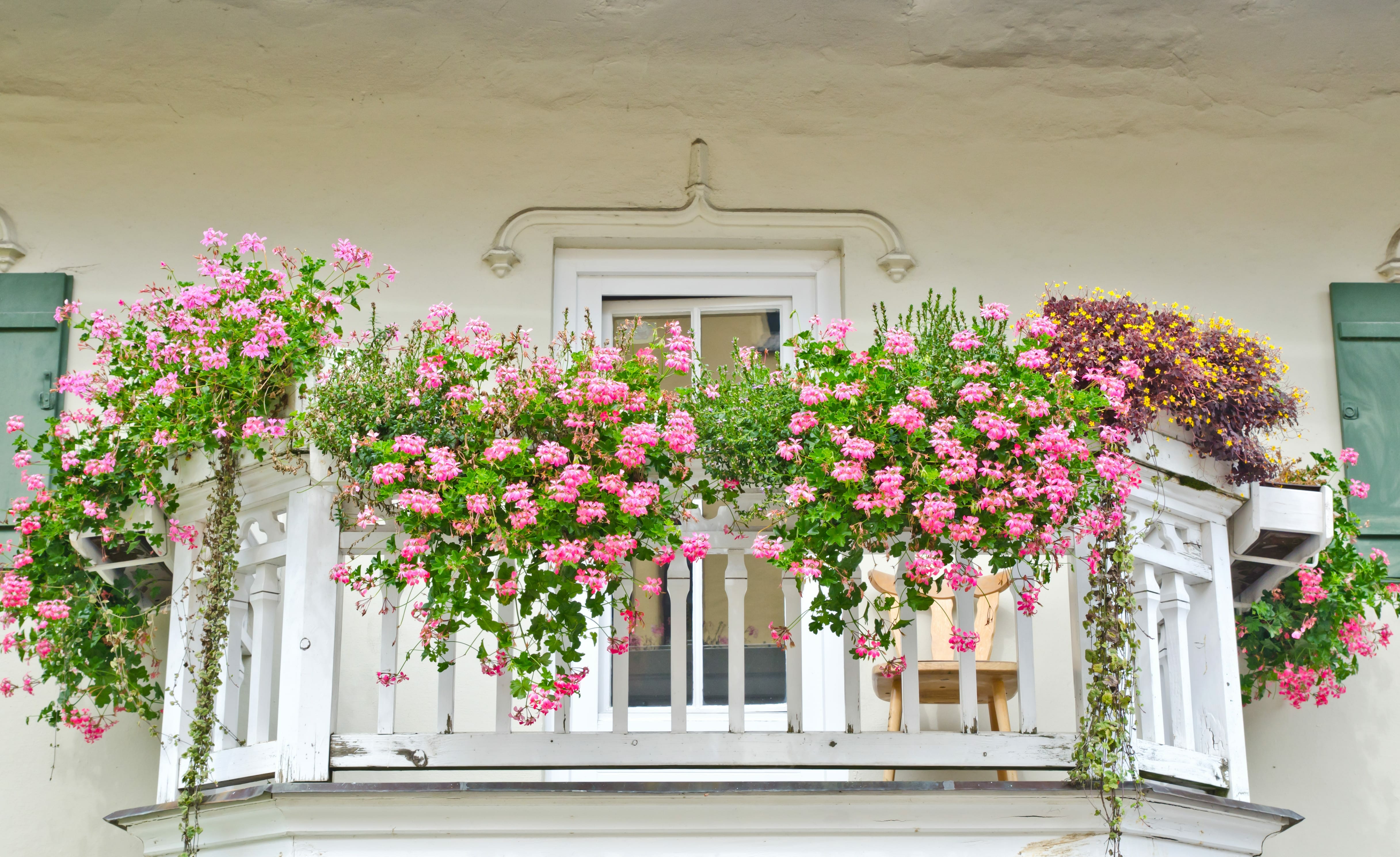 Blumenkästen Vorschau 7Roomz