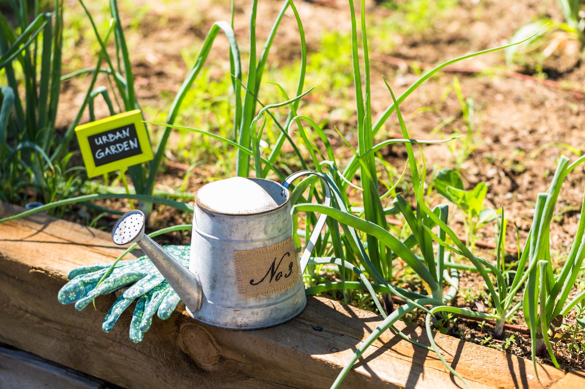 Urban Gardening Vorschau