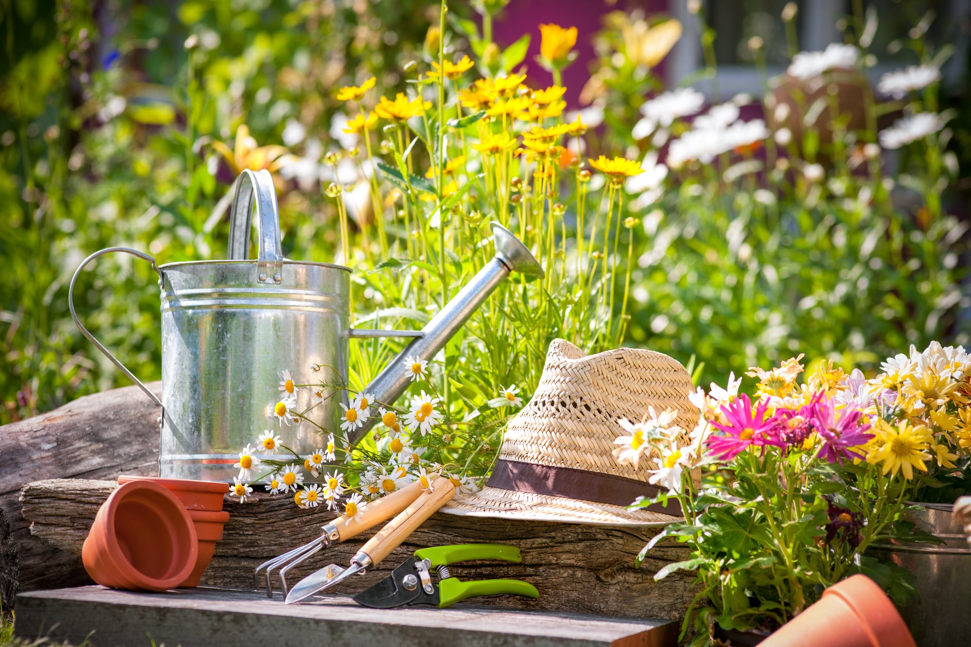 Kanne und Hut zwischen Pflanzen im Frühling